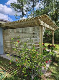 Wooden garden trellis providing privacy and support for climbing roses, adding to the aesthetic of a well-manicured backyard in Florida.