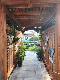 Charming garden walkway in Brevard County under a wooden arbor, adorned with climbing plants, leading to a pool area.