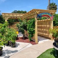 Custom-built wooden pergola in Butterfly Garden, featuring lattice privacy panels and lush plants, crafted by Palm Bay's premier outdoor living construction company.